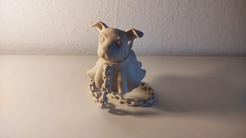 תמונה נוספת